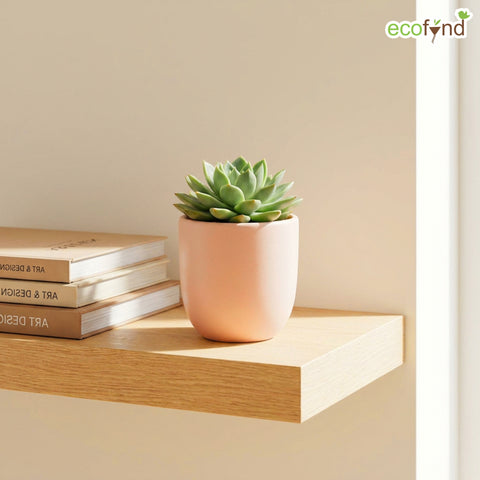 ecofynd Ecofynd Blush Pink 5 inch Ceramic Cachepot Planter for Indoor Plants