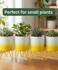 ecofynd Ecofynd Lucas Tabletop Metal Planter with Yellow Stand