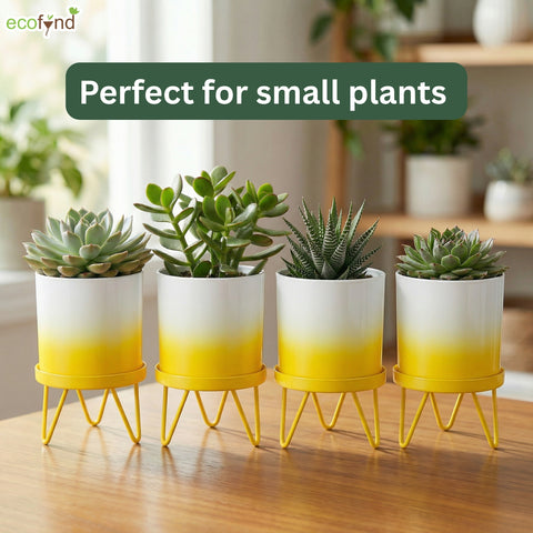 ecofynd Ecofynd Lucas Tabletop Metal Planter with Yellow Stand