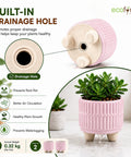 ecofynd 3.5 Inch Ceramic Plant Pots with Drainage Hole