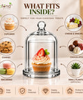 ecofynd 3.3 Inches Decorative Glass Bell Jar with Lid