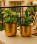 ecofynd Ivara Metal Plant Pots