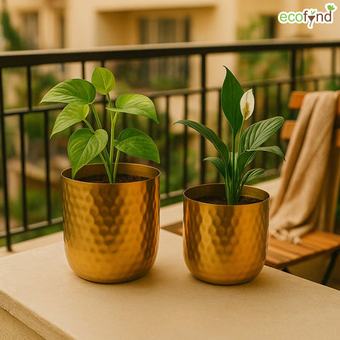 ecofynd Ivara Metal Plant Pots