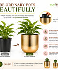 ecofynd Set of 2 Linea Patterned Golden Groove Planter – Gold Finish