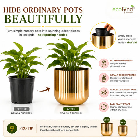 ecofynd Set of 2 Linea Patterned Golden Groove Planter – Gold Finish