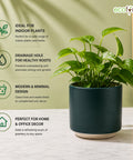 ecofynd Ecofynd 6 Inch Dark Green Ceramic Cachepot Planter with Drainage