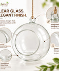 ecofynd Hanging Glass Planter – Cut Sphere Design | Clear Transparent Glass, Medium