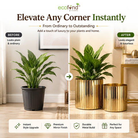 ecofynd Set of 2 Ribbed Metal Pedestal Planter – Gold Finish