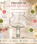 ecofynd 5.5 Inch Glass Flower Vase with Pedestal Stand for Fresh & Artificial Flower