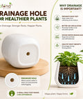ecofynd 3.5 Inch White Ceramic Plant Pots with Drainage Hole