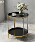 ecofynd Multipurpose 2 Tier Foldable Coffee Table with Strong Metal Frame