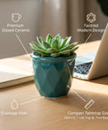 ecofynd Ecofynd Dark Green 4.3 Inch Cachepot Planter with Drainage Hole for Desk