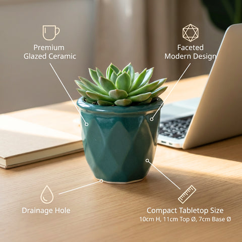 ecofynd Ecofynd Dark Green 4.3 Inch Cachepot Planter with Drainage Hole for Desk