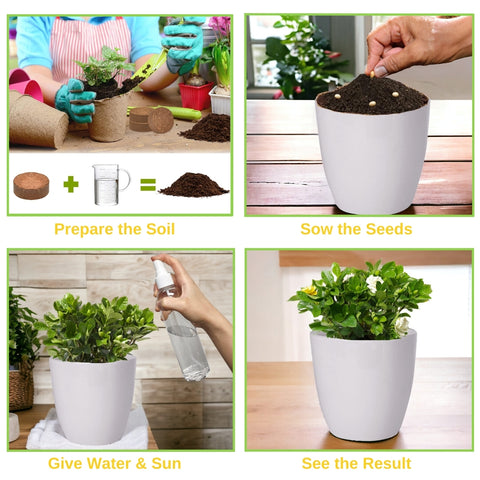 pot size for marigold plant DIY Grow Kit for Marigold Flower Plant