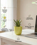 ecofynd Ecofynd Light Green 5 inch Ceramic Cachepot Planter for Indoor Plants