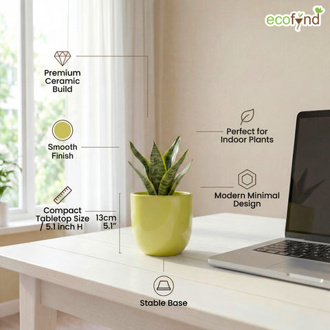 ecofynd Ecofynd Light Green 5 inch Ceramic Cachepot Planter for Indoor Plants