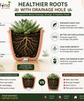 ecofynd 4 Inch Ceramic Plant Pots with Drainage Hole