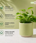 ecofynd Ecofynd 6 Inch Light Green Ceramic Cachepot Planter with Drainage