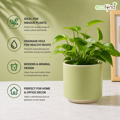 ecofynd Ecofynd 6 Inch Light Green Ceramic Cachepot Planter with Drainage