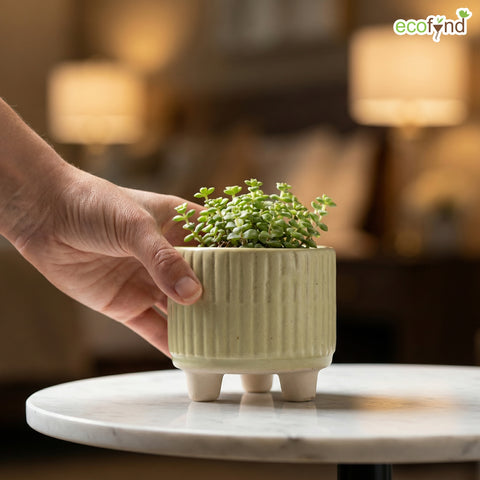ecofynd Ecofynd Light Green 3.5 Inch Ribbed Ceramic Cachepot Planter with Drainage Hole
