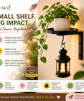 ecofynd 1 Pack Cora Wall Mounted Metal Plant Stand with Hanging Hook