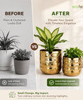 ecofynd Premium Golden Metal Planter – 7 and 5 Inch, Symmetrical Oval Design