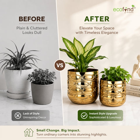 ecofynd Premium Golden Metal Planter – 7 and 5 Inch, Symmetrical Oval Design