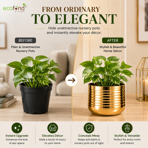 ecofynd Premium Golden Metal Planter – 5 Inch, Spiral Design
