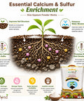 ecofynd 1KG Gypsum Powder for Plants & Gardening