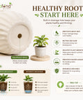 ecofynd 3.5 Inch White Ceramic Plant Pots with Drainage Hole