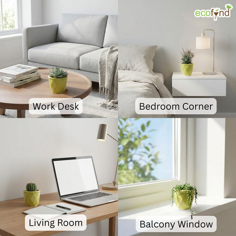 ecofynd Ecofynd Light Green 4.3 Inch Cachepot Planter with Drainage Hole for Desk