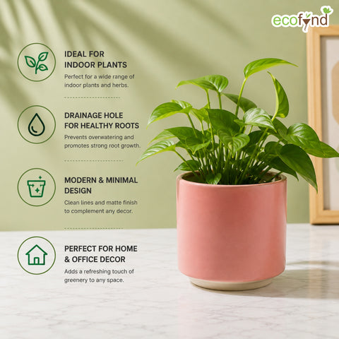 ecofynd Ecofynd 6 Inch Pink Ceramic Cachepot Planter with Drainage