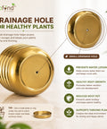 ecofynd 1 Pack 5 Inch Gold Metal Flower Pot