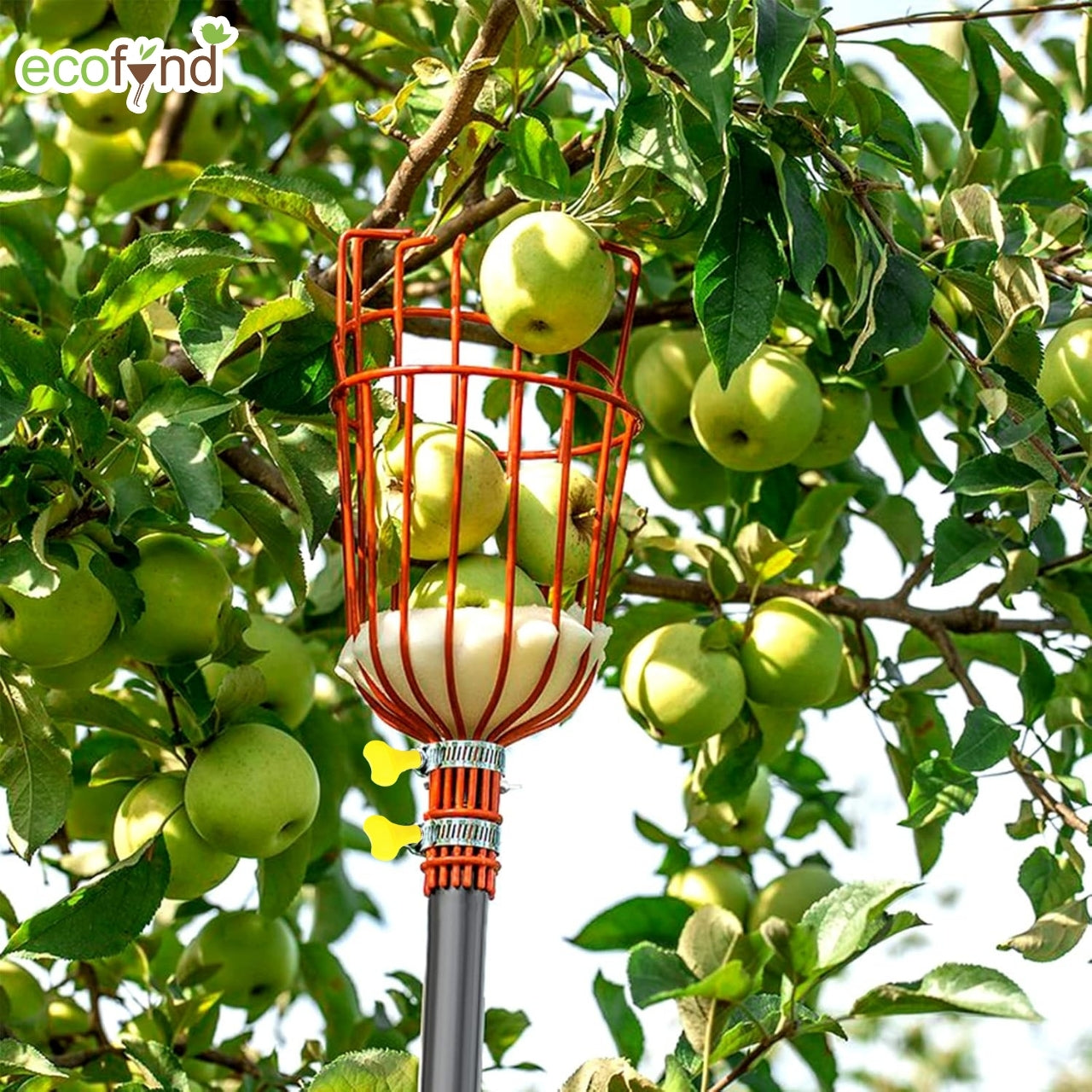 Fruit Picker Tool with Adjustable Pole Fixing Clamp – Ecofynd