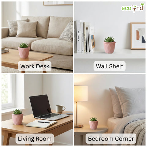 ecofynd Ecofynd Pink 4.3 Inch Cachepot Planter with Drainage Hole for Desk