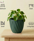 ecofynd Ecofynd Dark Green Twisted 4 Inch Ceramic Cachepot Planter for Indoor Plants