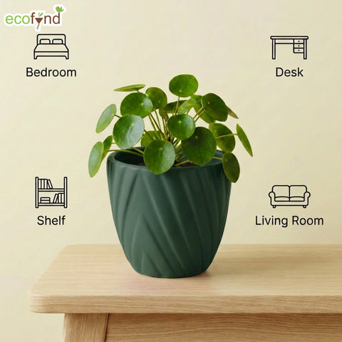 ecofynd Ecofynd Dark Green Twisted 4 Inch Ceramic Cachepot Planter for Indoor Plants