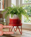 ecofynd Ecofynd Lucas Tabletop Metal Planter with Red Stand
