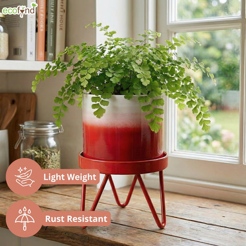 ecofynd Ecofynd Lucas Tabletop Metal Planter with Red Stand