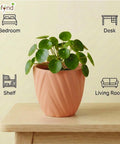 ecofynd Ecofynd Peach Twisted 4 Inch Ceramic Cachepot Planter for Indoor Plants