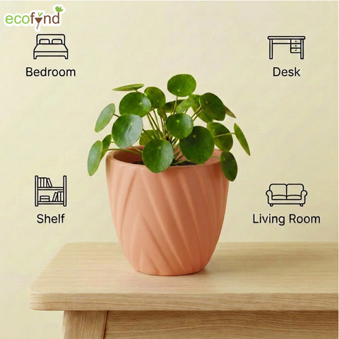ecofynd Ecofynd Peach Twisted 4 Inch Ceramic Cachepot Planter for Indoor Plants