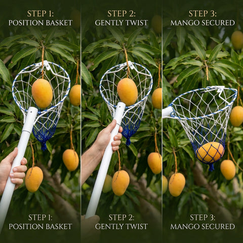 ecofynd Ecofynd White Fruit Picker Net for Mangoes & Tree Fruit Harvesting