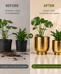 ecofynd Premium Golden Metal Planter – Set of 2, Goblet Design