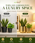 ecofynd Premium Golden Metal Planter – Set of 2, Spiral Design