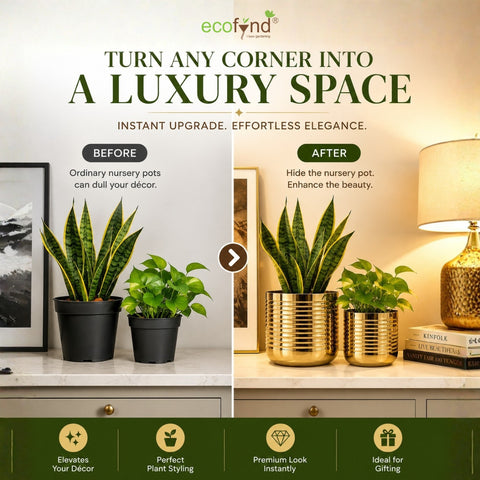 ecofynd Premium Golden Metal Planter – Set of 2, Spiral Design