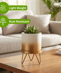ecofynd Ecofynd Lucas Tabletop Metal Planter with Gold Stand