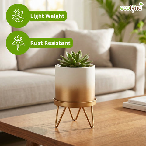 ecofynd Ecofynd Lucas Tabletop Metal Planter with Gold Stand