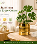 ecofynd Set of 2 Cylindrical Metal Planter – 6 Inch, Symmetrical Design