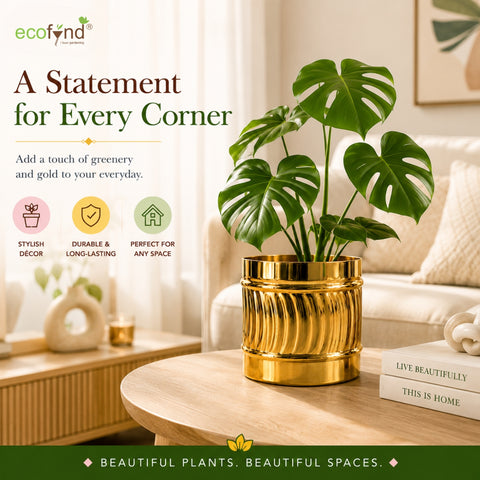 ecofynd Set of 2 Cylindrical Metal Planter – 6 Inch, Symmetrical Design