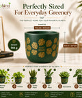 ecofynd 4.5 Inch Monstera Terracotta Pot for Indoor Plant